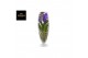 Vanda hybriden blue 042 in champagne glas 