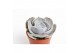 Echeveria runyonii 