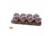Echeveria purple pearl SuPure® 8gts 