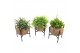 Kamerplanten mix groen Kokodama Industrial Green 
