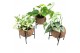 Kamerplanten mix groen Kokodama Industrial Green 