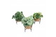 Kamerplanten mix groen Kokodama Industrial Green 