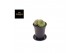 Cactus Gymno Spineless Mountain Twin P7,5 1 pp 