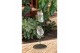 Tillandsia ionantha Tilly Tiles in Design Frame Double 0886 