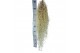 Tillandsia usneoides Tillandsia usneoides XXL 80 - 89  cm 1 bl. 