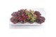 Succulenten Succulenten Herfst Mix 1 pp 