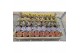 Succulenten Succulenten mix in gazen bak 1 pp 