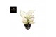 Aglaonema white joy 