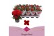 Kalanchoe lipstick favorita rood, stadium 1 