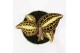 Macodes petola jewel orchid karma sunstone, anoectochilus 
