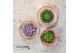Arrangementen succulenten rootless echeveria mix in love box for table 