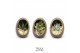 Arrangementen succulenten TRULY Succulent mix Egg black gold 