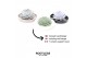 Arrangementen succulenten rootless x wall art echeveria mix in panda b 