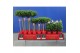 Laurus nobilis Laurus nobilis Bol op stam 5000 gram 30 cm diameter 50  