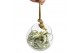 Tillandsia arrangement glas bol xl touw 
