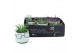 Tillandsia arrangement Dude 