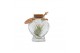 Tillandsia arrangement Tillandsia heart bottle small 1 pp 