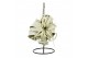Tillandsia xerographica Tillandsia King xero hanger 1 bl. 