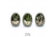 Arrangementen succulenten TRULY Crassula, Egg Green gold 1 pp 
