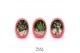 Arrangementen succulenten TRULY Crassula, Egg Red gold 1 pp 