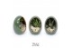 Arrangementen succulenten TRULY Succulent, Egg Green gold 1 pp 