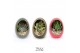Arrangementen succulenten TRULY Succulent, Egg Colour mix gold 1 pp 