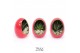 Arrangementen succulenten TRULY Haworthia, Gasteria, Egg Red gold 1 pp 