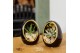 Arrangementen succulenten TRULY Haworthia, Gasteria, Egg Red gold 1 pp 
