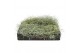 Tillandsia usneoides tillandsia usneoides grey medium x12 50 - 59  cm 