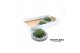 Arrangementen succulenten rootless aloe aristata magic in koala bowl 