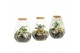 Arrangementen kamerplanten 90682: Terrarium 