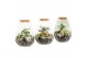 Arrangementen kamerplanten 90682: Terrarium 