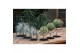 Tillandsia cube mix m 0848 