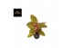 Aglaonema salmon fantasy 