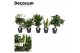 Kamerplanten mix Groenmix Jamaica decorum 