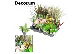 Kamerplanten mix Keen on Green mix New York decorum