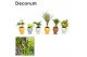 Kamerplanten mix Keen on Green mix New York decorum in Facepot Pepijn  