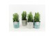 Euphorbia trigona in tess keramiek 