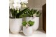 Keramische pot Kolibri home Glazed white 