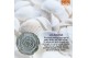 Echeveria lilacina SuPure® pearls 