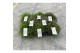 Rhipsalis mix 