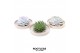 Arrangementen succulenten rootless succulent mix in springbok bowl 