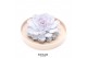 Arrangementen succulenten rootless succulent mix in springbok bowl 