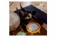 Arrangementen succulenten rootless echeveria mix in squirrel bowl in b 