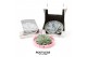 Arrangementen succulenten rootless echeveria mix in octopus bowl in ma 