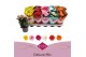Kalanchoe perfecta mix Deluxe hoes stadium 1 