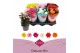 Kalanchoe perfecta mix Deluxe hoes stadium 1 