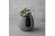 Arrangementen orchidee Jewel Orchid - KARMA Lightning Green | Quality  