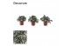Peperomia napoli nights decorum 