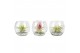 Tillandsia arrangement glas bol mini 